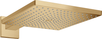 Cap de dus cu brat Hansgrohe RAINDANCE 300 E, bronz periat